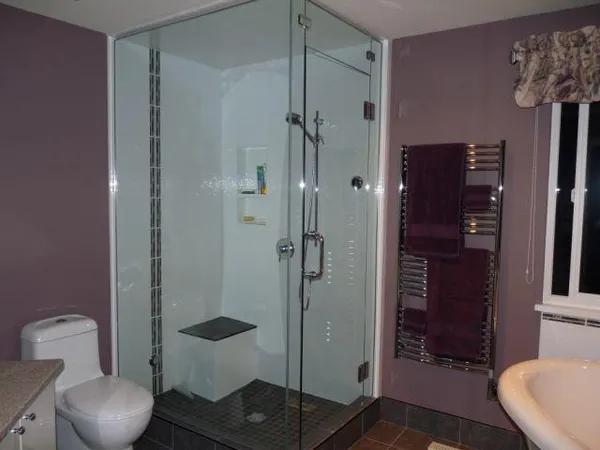 Type 2123S frameless shower enclosure