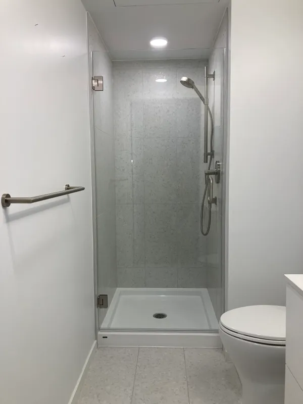 Type 1 frameless shower enclosure