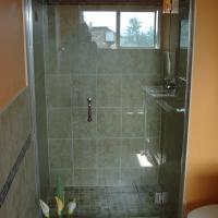 Frameless Glass Shower Door